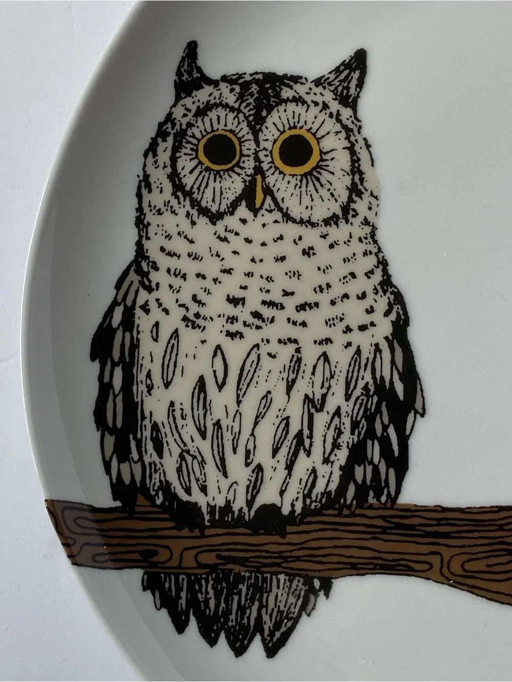 West Elm Owl Plate 8.5” Serving Art Drawing Display Bird Ceramic Birding Tree